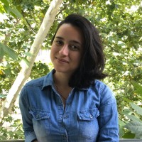 Mónica F. Carvajal Bedoya