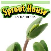 Sprout Lady Rita Galchus