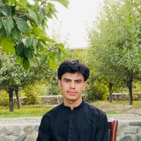 Arian Amani