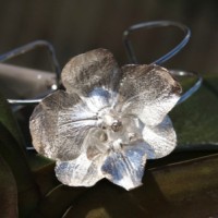 Małgorzata Jankowska