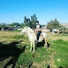 Jose Quezada Jara