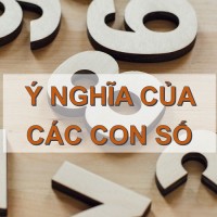 ynghia cacconso