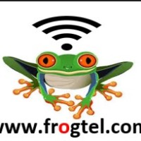FROGTEL Networking and Telecom Consultants