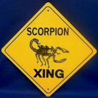 Scorpion King