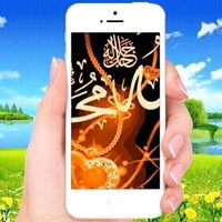 Amine Tlm Alg