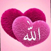 Gul Fatima