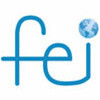FEI Consulting