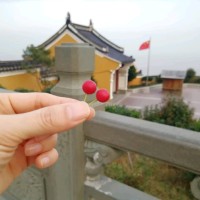 陆立科