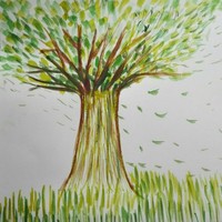 Seed Consulting BPO