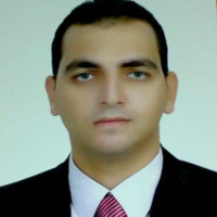 Hesham Fadel