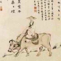 卢义卫