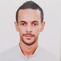 Amir Majjedi