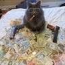 Sir Kitty