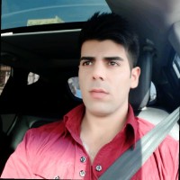 Saeid Mardani
