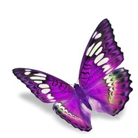 Remploy Vocational Rehabilitation Service