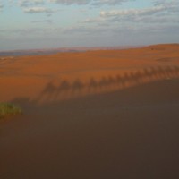 fatima ezzahra EL AMRANI