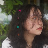 Ha Chi Phung