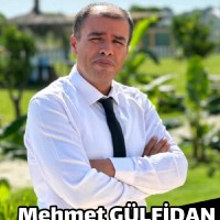 Mehmet Gulfidan