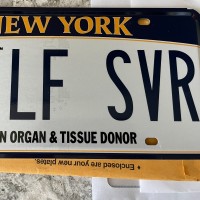 Leslie A Sofarelli, Rsw, Lmsw