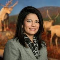 Nicole Lucero-Holub