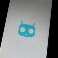 Shaira Alegarbes