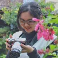 Quynh Le