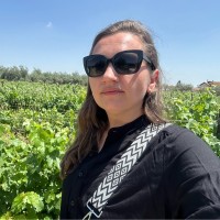 Ira Levinshtein