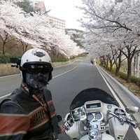 손성민