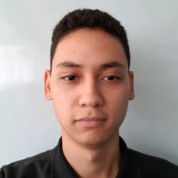 Henrique Yuji Sinoduka