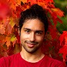 Mehran Meidani
