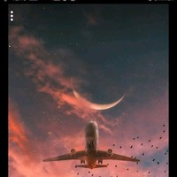 حمزة انور الدويات