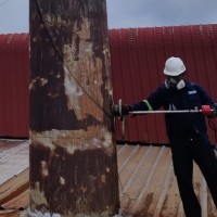 Muhammad Taqiuddin Sharuddin