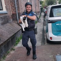 Dennis Heijboer