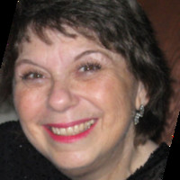 Robin Van Zak