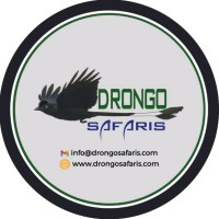 Drongo Safaris