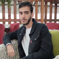 Sina Amareh