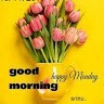 SURESH K