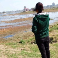 Nirdesh Yadav