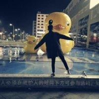 张弘强