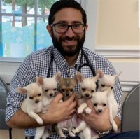 Joseph Silverman