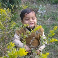 Imran Zafar