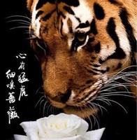 赵金柱