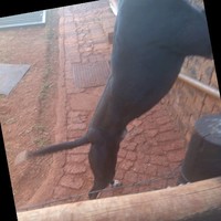 Jack Nkosana