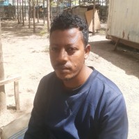 Gemmeda Dege