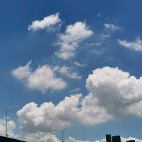 赵世东