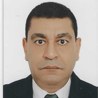 Hesham Mahmoud Hussein , Pmp