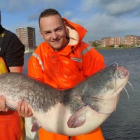 Jeroen Van Wamel