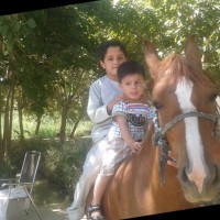 Mohammad Jamal Naseem