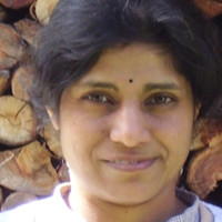 Krishna Bauer
