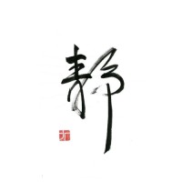 董菲菲
